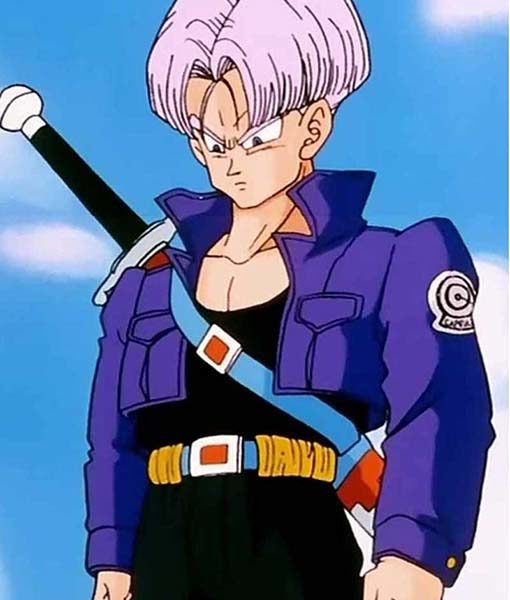 Trunks Purple Dragon Ball Z Jacket Cathy Weseluck Jacket with Free