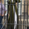 Persuasion Anne Elliot Long Coat