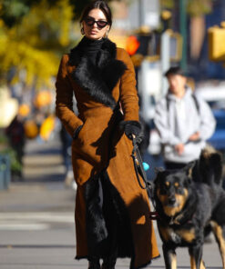 Emily Ratajkowski Brown Fur Coat
