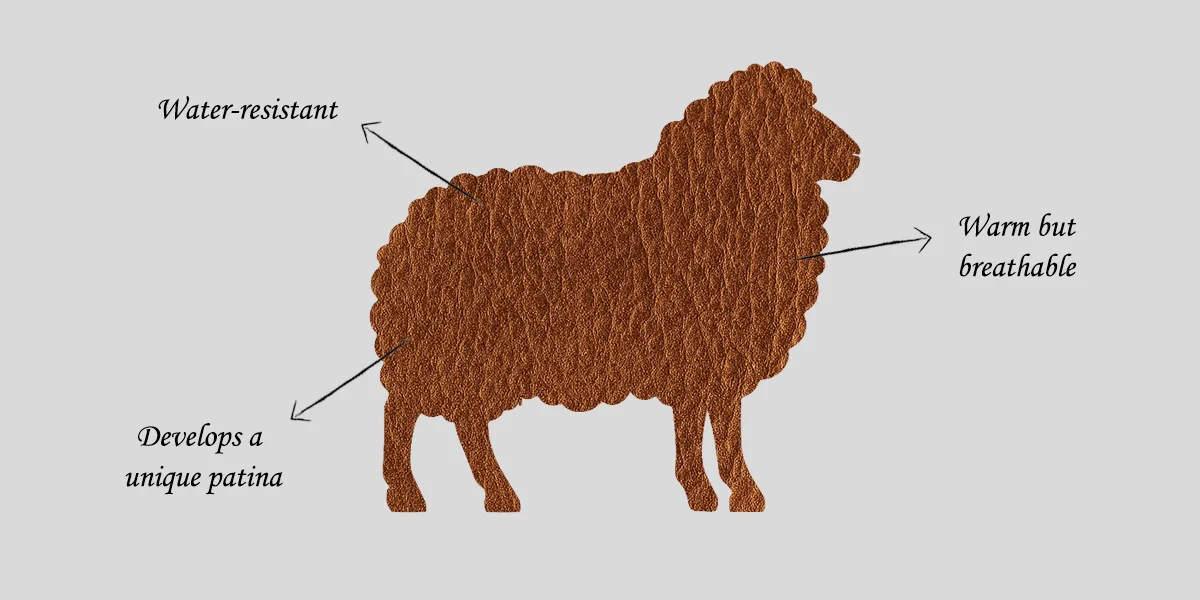 Sheepskin vs Lambskin